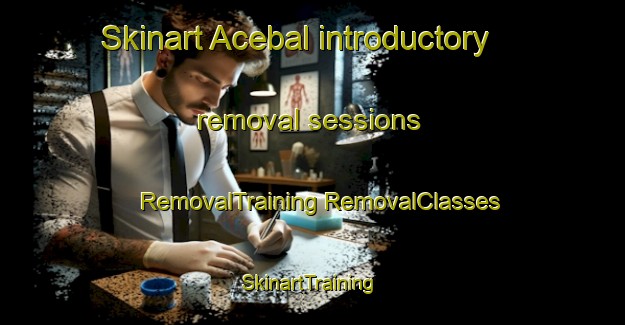 Skinart Acebal introductory removal sessions | #RemovalTraining #RemovalClasses #SkinartTraining-Argentina