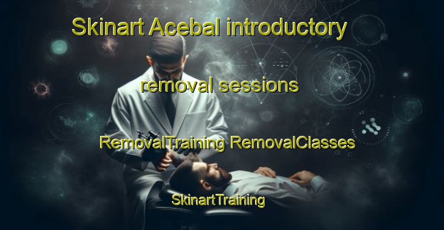 Skinart Acebal introductory removal sessions | #RemovalTraining #RemovalClasses #SkinartTraining-Argentina