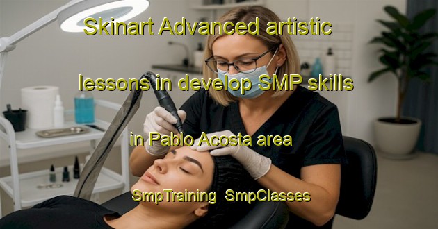 Skinart Advanced artistic lessons in develop SMP skills in Pablo Acosta area | SmpTraining | SmpClasses | SkinartTraining-Argentina
