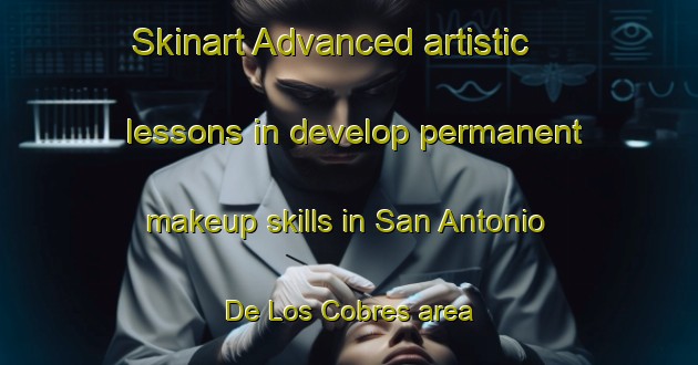 Skinart Advanced artistic lessons in develop permanent makeup skills in San Antonio De Los Cobres area | PermanentmakeupTraining | PermanentmakeupClasses | SkinartTraining-Argentina