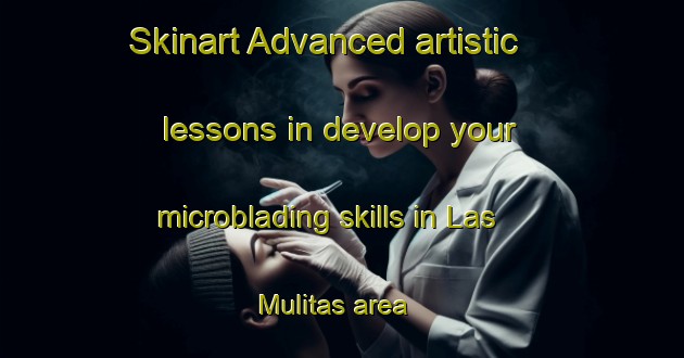 Skinart Advanced artistic lessons in develop your microblading skills in Las Mulitas area | MicrobladingTraining | MicrobladingClasses | SkinartTraining-Argentina
