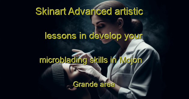 Skinart Advanced artistic lessons in develop your microblading skills in Mojon Grande area | MicrobladingTraining | MicrobladingClasses | SkinartTraining-Argentina