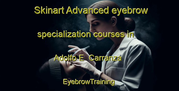 Skinart Advanced eyebrow specialization courses in Adolfo E  Carranza | EyebrowTraining | EyebrowClasses | SkinartTraining-Argentina