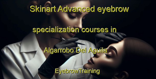 Skinart Advanced eyebrow specialization courses in Algarrobo Del Aguila | EyebrowTraining | EyebrowClasses | SkinartTraining-Argentina