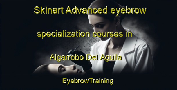 Skinart Advanced eyebrow specialization courses in Algarrobo Del Aguila | EyebrowTraining | EyebrowClasses | SkinartTraining-Argentina