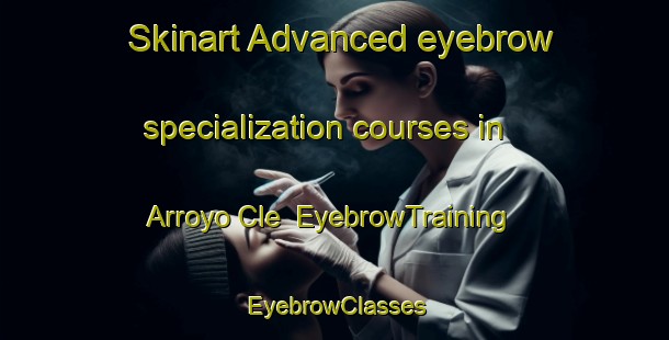 Skinart Advanced eyebrow specialization courses in Arroyo Cle | EyebrowTraining | EyebrowClasses | SkinartTraining-Argentina