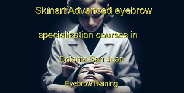 Skinart Advanced eyebrow specialization courses in Colonia San Juan | EyebrowTraining | EyebrowClasses | SkinartTraining-Argentina