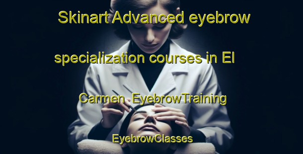 Skinart Advanced eyebrow specialization courses in El Carmen | EyebrowTraining | EyebrowClasses | SkinartTraining-Argentina