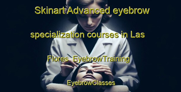 Skinart Advanced eyebrow specialization courses in Las Flores | EyebrowTraining | EyebrowClasses | SkinartTraining-Argentina