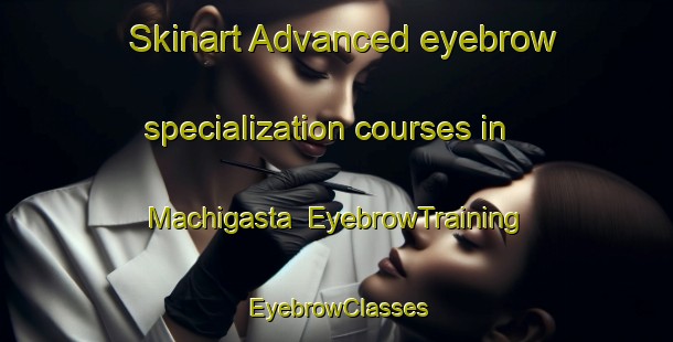 Skinart Advanced eyebrow specialization courses in Machigasta | EyebrowTraining | EyebrowClasses | SkinartTraining-Argentina