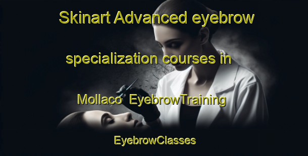 Skinart Advanced eyebrow specialization courses in Mollaco | EyebrowTraining | EyebrowClasses | SkinartTraining-Argentina