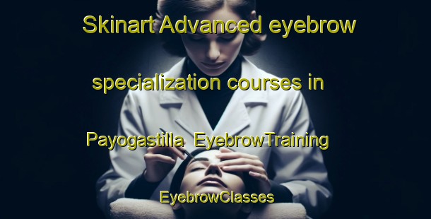 Skinart Advanced eyebrow specialization courses in Payogastilla | EyebrowTraining | EyebrowClasses | SkinartTraining-Argentina