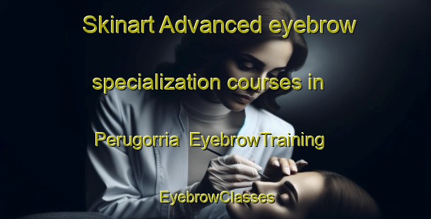 Skinart Advanced eyebrow specialization courses in Perugorria | EyebrowTraining | EyebrowClasses | SkinartTraining-Argentina