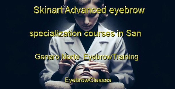 Skinart Advanced eyebrow specialization courses in San Genaro Norte | EyebrowTraining | EyebrowClasses | SkinartTraining-Argentina