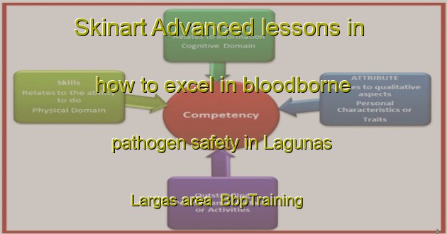 Skinart Advanced lessons in how to excel in bloodborne pathogen safety in Lagunas Largas area | BbpTraining | BbpClasses | SkinartTraining-Argentina