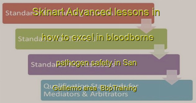 Skinart Advanced lessons in how to excel in bloodborne pathogen safety in San Guillermo area | BbpTraining | BbpClasses | SkinartTraining-Argentina