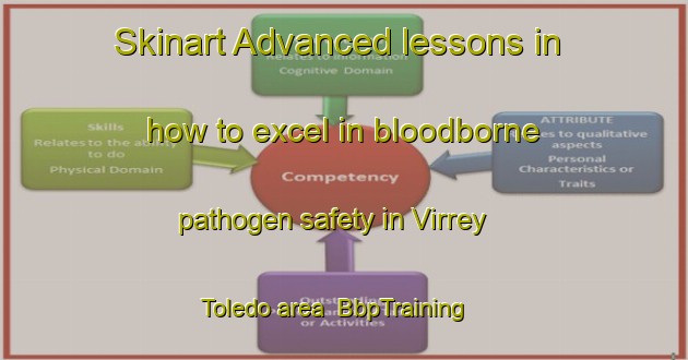 Skinart Advanced lessons in how to excel in bloodborne pathogen safety in Virrey Toledo area | BbpTraining | BbpClasses | SkinartTraining-Argentina
