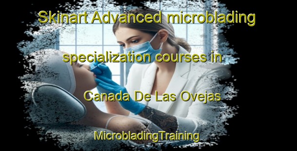 Skinart Advanced microblading specialization courses in Canada De Las Ovejas | #MicrobladingTraining #MicrobladingClasses #SkinartTraining-Argentina