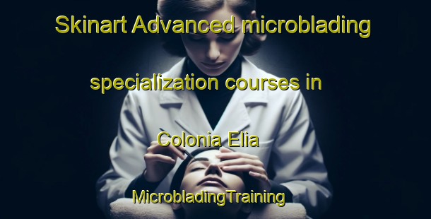 Skinart Advanced microblading specialization courses in Colonia Elia | MicrobladingTraining | MicrobladingClasses | SkinartTraining-Argentina