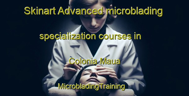 Skinart Advanced microblading specialization courses in Colonia Maua | MicrobladingTraining | MicrobladingClasses | SkinartTraining-Argentina