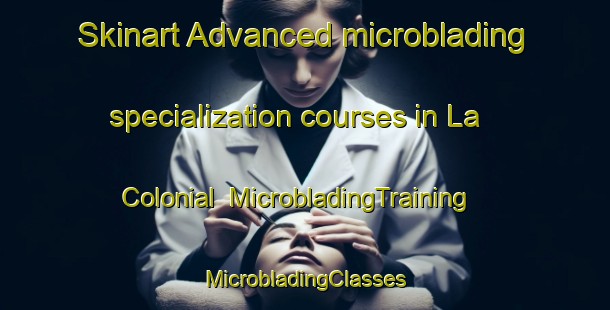 Skinart Advanced microblading specialization courses in La Colonial | #MicrobladingTraining #MicrobladingClasses #SkinartTraining-Argentina