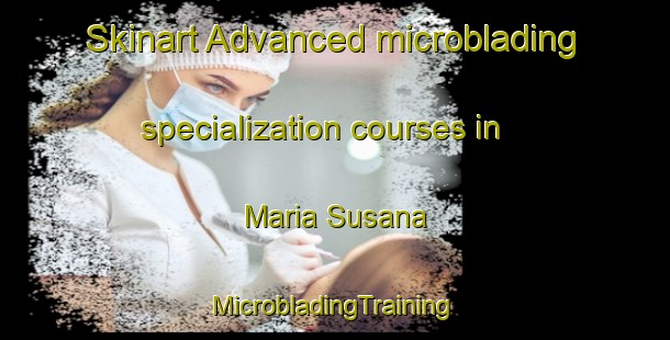 Skinart Advanced microblading specialization courses in Maria Susana | #MicrobladingTraining #MicrobladingClasses #SkinartTraining-Argentina