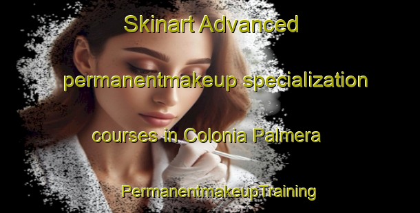 Skinart Advanced permanentmakeup specialization courses in Colonia Palmera | #PermanentmakeupTraining #PermanentmakeupClasses #SkinartTraining-Argentina