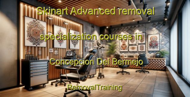 Skinart Advanced removal specialization courses in Concepcion Del Bermejo | RemovalTraining | RemovalClasses | SkinartTraining-Argentina