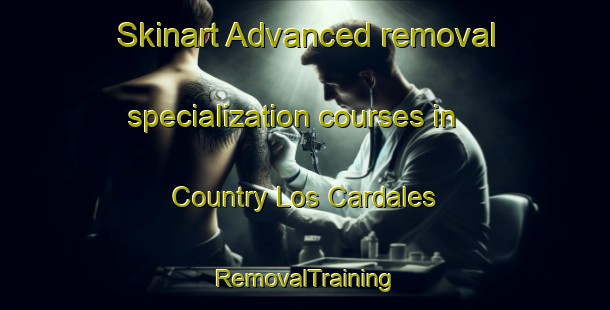 Skinart Advanced removal specialization courses in Country Los Cardales | RemovalTraining | RemovalClasses | SkinartTraining-Argentina