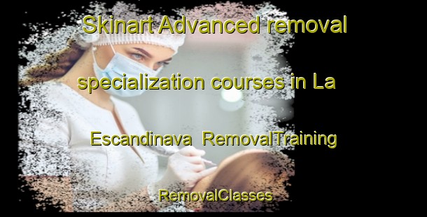 Skinart Advanced removal specialization courses in La Escandinava | RemovalTraining | RemovalClasses | SkinartTraining-Argentina
