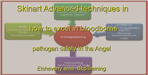 Skinart Advanced techniques in how to excel in bloodborne pathogen safety in the Angel Etcheverry area | BbpTraining | BbpClasses | SkinartTraining-Argentina