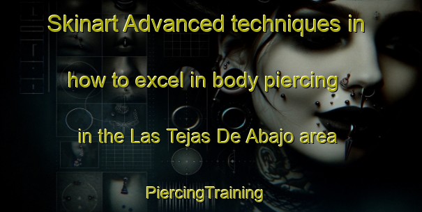 Skinart Advanced techniques in how to excel in body piercing in the Las Tejas De Abajo area | PiercingTraining | PiercingClasses | SkinartTraining-Argentina