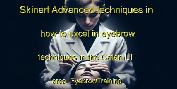 Skinart Advanced techniques in how to excel in eyebrow techniques in the Catan Lil area | EyebrowTraining | EyebrowClasses | SkinartTraining-Argentina
