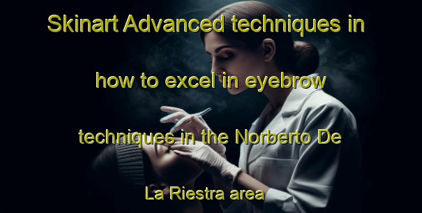Skinart Advanced techniques in how to excel in eyebrow techniques in the Norberto De La Riestra area | EyebrowTraining | EyebrowClasses | SkinartTraining-Argentina