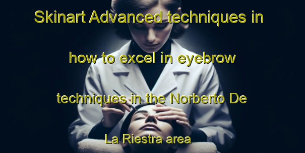 Skinart Advanced techniques in how to excel in eyebrow techniques in the Norberto De La Riestra area | EyebrowTraining | EyebrowClasses | SkinartTraining-Argentina