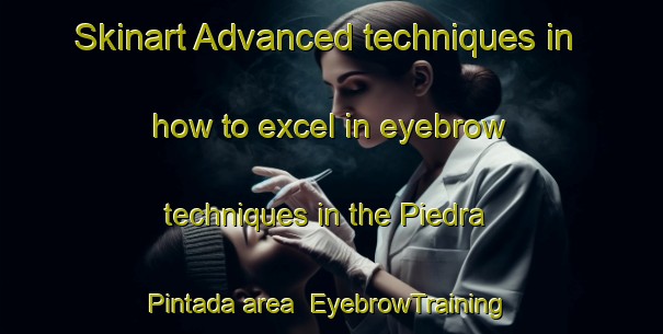 Skinart Advanced techniques in how to excel in eyebrow techniques in the Piedra Pintada area | EyebrowTraining | EyebrowClasses | SkinartTraining-Argentina
