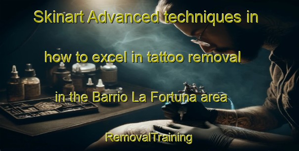 Skinart Advanced techniques in how to excel in tattoo removal in the Barrio La Fortuna area | RemovalTraining | RemovalClasses | SkinartTraining-Argentina