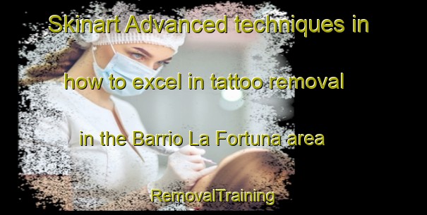 Skinart Advanced techniques in how to excel in tattoo removal in the Barrio La Fortuna area | RemovalTraining | RemovalClasses | SkinartTraining-Argentina