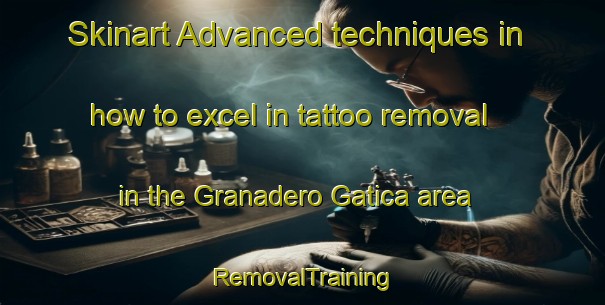 Skinart Advanced techniques in how to excel in tattoo removal in the Granadero Gatica area | RemovalTraining | RemovalClasses | SkinartTraining-Argentina