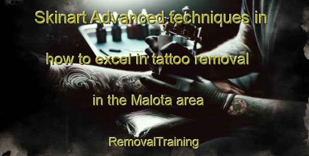 Skinart Advanced techniques in how to excel in tattoo removal in the Malota area | RemovalTraining | RemovalClasses | SkinartTraining-Argentina