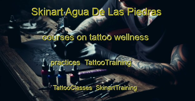 Skinart Agua De Las Piedras courses on tattoo wellness practices | TattooTraining | TattooClasses | SkinartTraining-Argentina