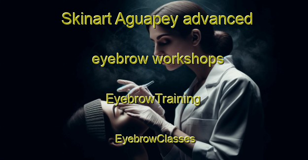 Skinart Aguapey advanced eyebrow workshops | EyebrowTraining | EyebrowClasses | SkinartTraining-Argentina