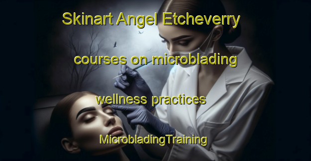 Skinart Angel Etcheverry courses on microblading wellness practices | #MicrobladingTraining #MicrobladingClasses #SkinartTraining-Argentina