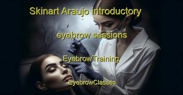 Skinart Araujo introductory eyebrow sessions | EyebrowTraining | EyebrowClasses | SkinartTraining-Argentina
