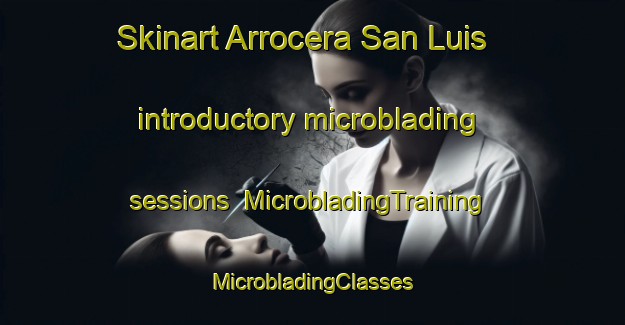 Skinart Arrocera San Luis introductory microblading sessions | #MicrobladingTraining #MicrobladingClasses #SkinartTraining-Argentina