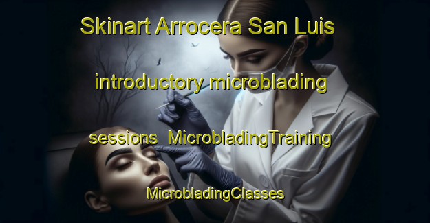 Skinart Arrocera San Luis introductory microblading sessions | #MicrobladingTraining #MicrobladingClasses #SkinartTraining-Argentina