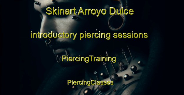 Skinart Arroyo Dulce introductory piercing sessions | PiercingTraining | PiercingClasses | SkinartTraining-Argentina