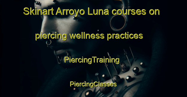 Skinart Arroyo Luna courses on piercing wellness practices | #PiercingTraining #PiercingClasses #SkinartTraining-Argentina