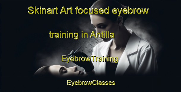 Skinart Art-focused eyebrow training in Antilla | EyebrowTraining | EyebrowClasses | SkinartTraining-Argentina