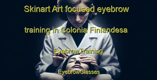 Skinart Art-focused eyebrow training in Colonia Finlandesa | EyebrowTraining | EyebrowClasses | SkinartTraining-Argentina
